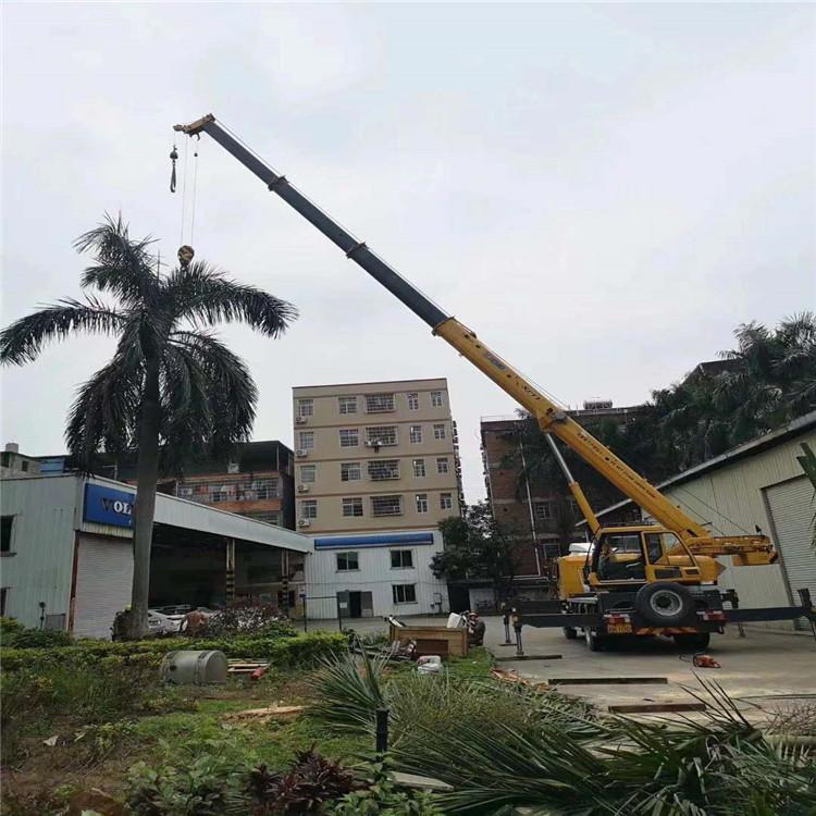 樟木头镇汽车吊出租多少钱？全面解析与市场行情